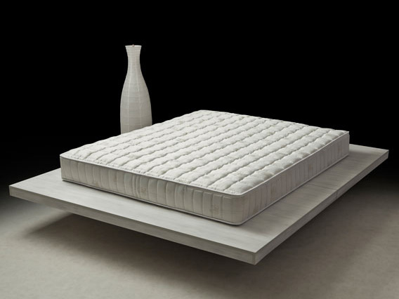 saltealatexcoralbulrom2120x200